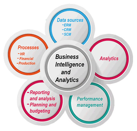 business intelligence application developer