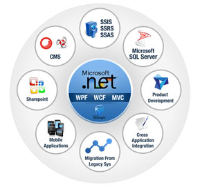 Dot NET Development Services